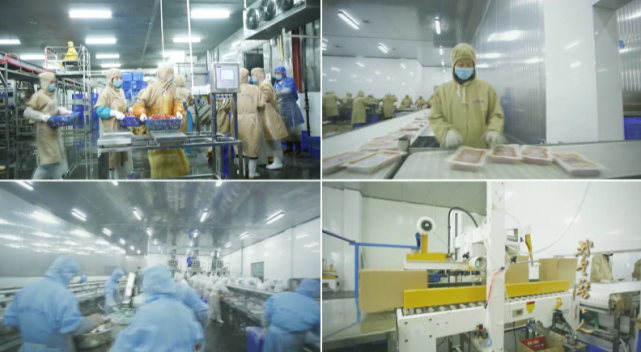 Z6·尊龙凯时「中国区」官方网站