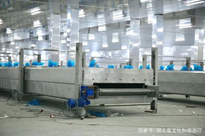 Z6尊龙凯时集团：抓好发展“牛鼻子” 推动项目“虎年红”