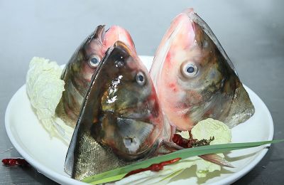 400x400_63462b4049b43